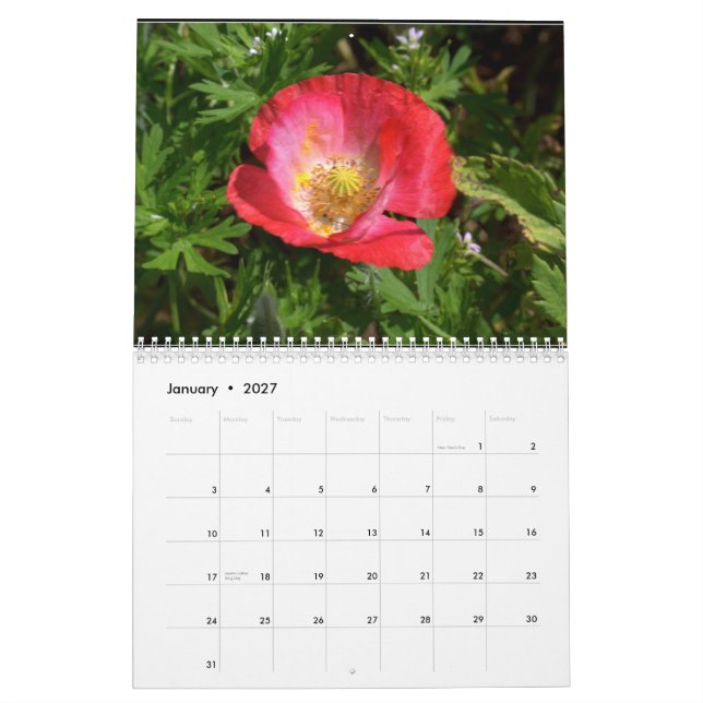 Calendario Wildflowers de Tejas (Jan 2027)