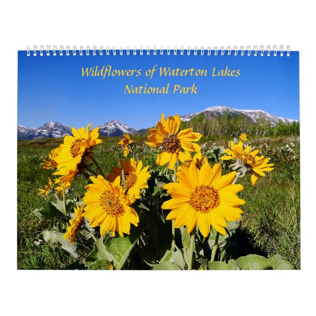 Calendario Wildflowers del parque nacional de los lagos (Tapa)