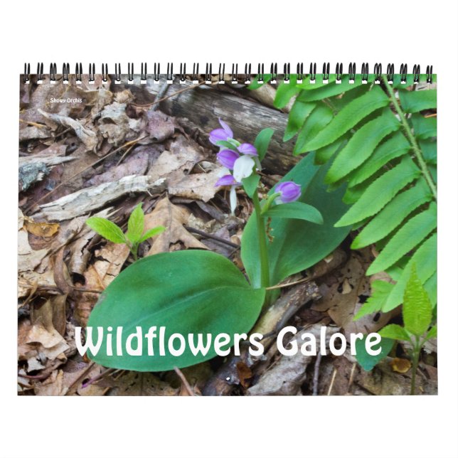 Calendario ~ Wildflowers Galore (Tapa)