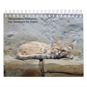 Calendario Wildkatzen_.