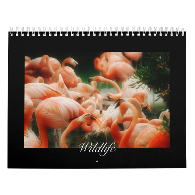 Calendario Wildlife Calendar (Tapa)