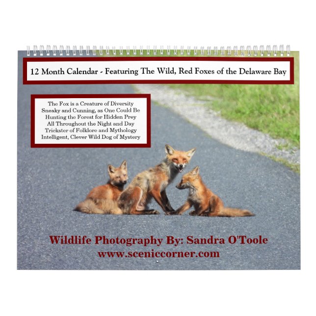 Calendario Wildlife Calendar, Red Foxes (Tapa)