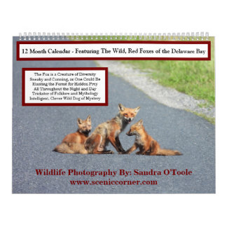 Calendario Wildlife Calendar, Red Foxes