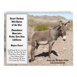 Calendario Wildlife Calendar, wild donkeys, burros, desert