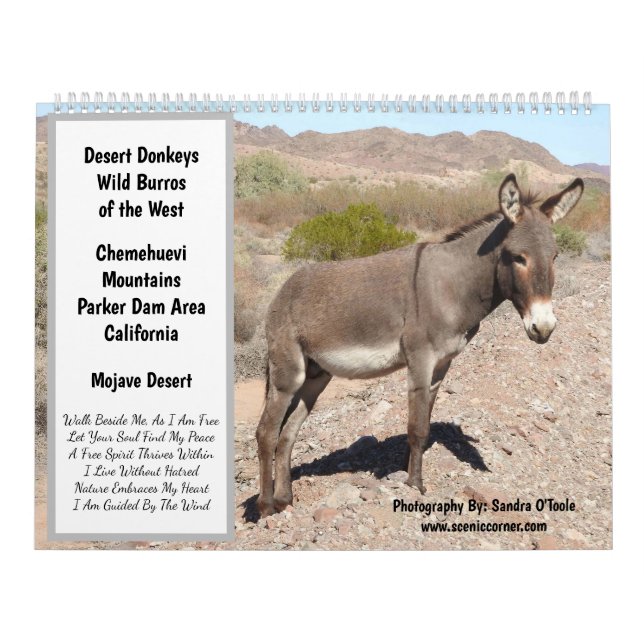 Calendario Wildlife Calendar, wild donkeys, burros, desert (Tapa)
