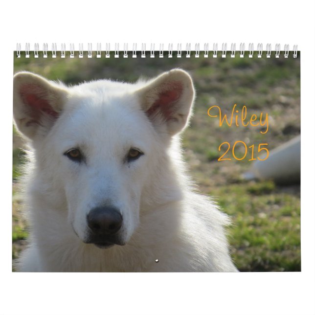 Calendario Wiley (Tapa)