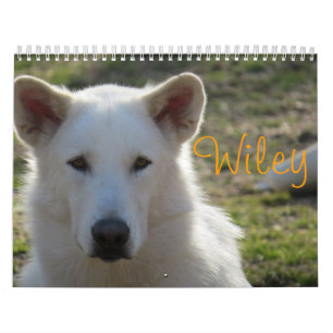 Calendario Wiley