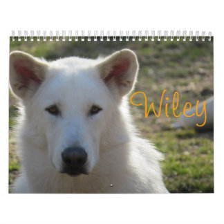 Calendario Wiley