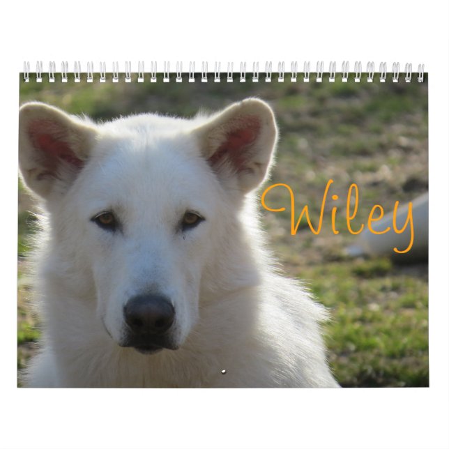 Calendario Wiley (Tapa)
