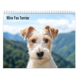 Calendario Wire Fox Terrier 2027