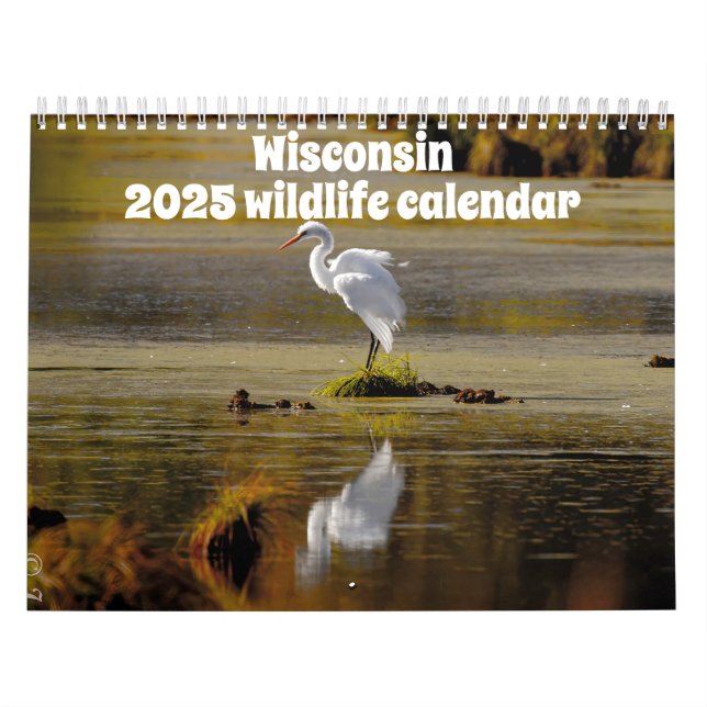 Calendario Wisconsin Wildlife Calendar 2024 (Tapa)
