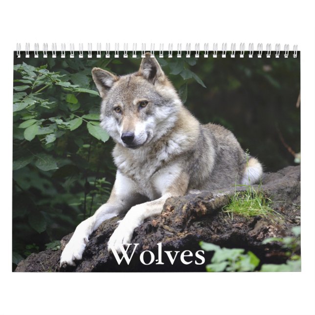 Calendario Wolf (Tapa)