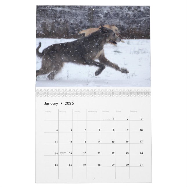 Calendario Wolfhound irlandés 2012 (Jan 2026)
