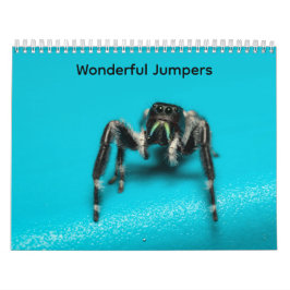 Calendario Wonderful Jumpers