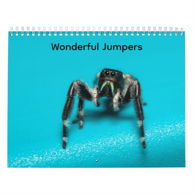 Calendario Wonderful Jumpers (Tapa)