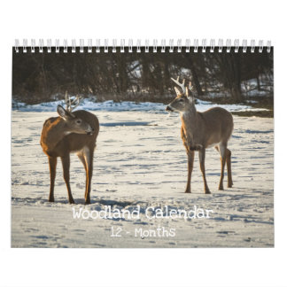 Calendario Woodland Creatures Nature 