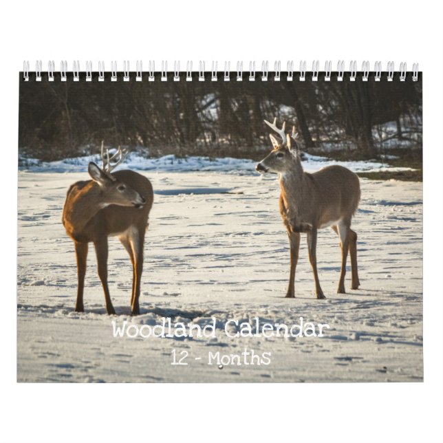 Calendario Woodland Creatures Nature  (Tapa)