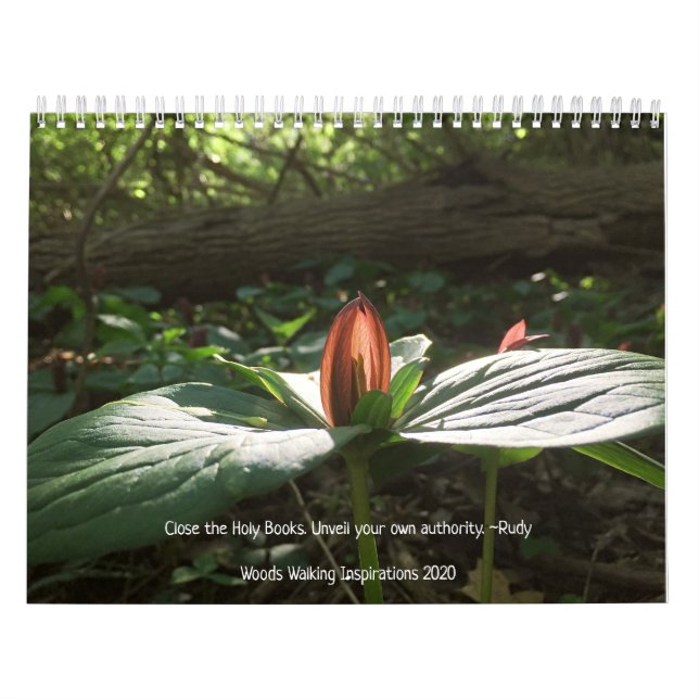 Calendario Woods Walking Inspirations 2020 (Tapa)