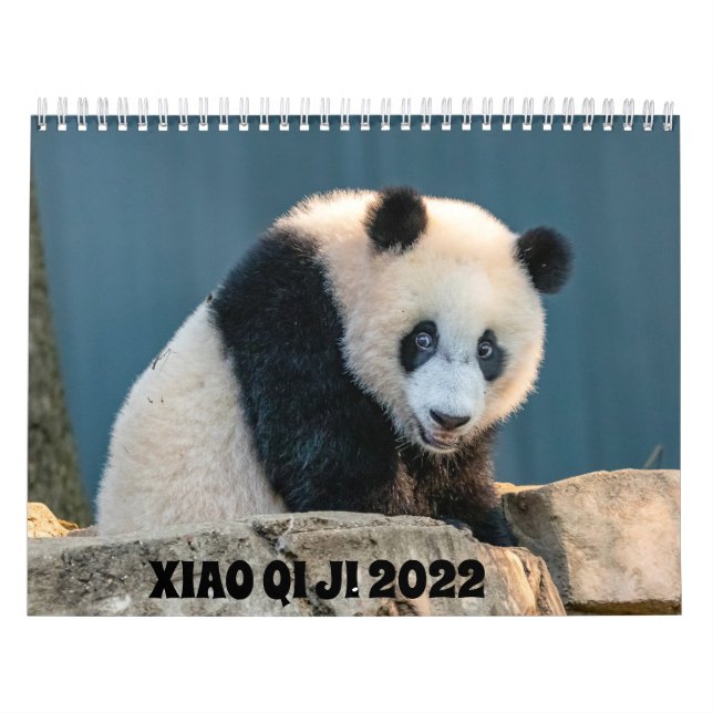Calendario Xiao Qi Ji 2022 (Tapa)