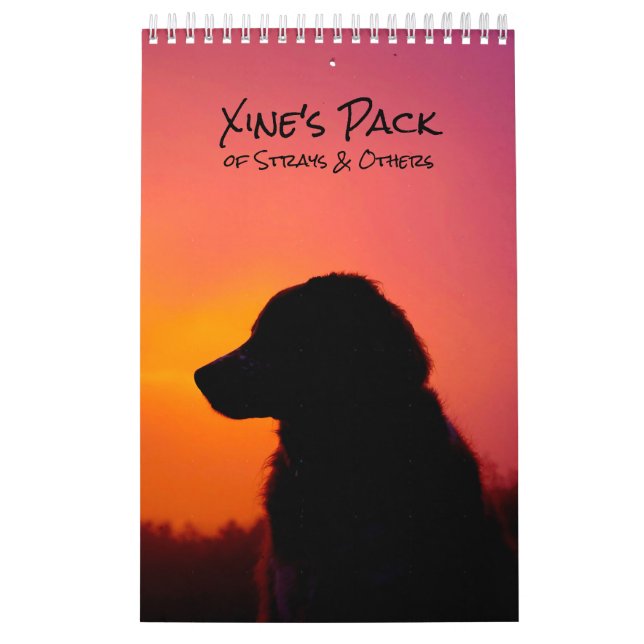 Calendario Xine's Pack of Strays & Others Calendar (Tapa)