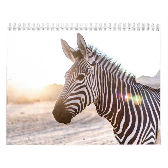 Calendario Zebra (Tapa)