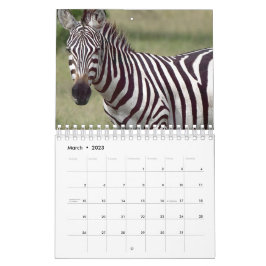 Calendario Zebra