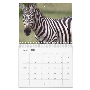 Calendario Zebra