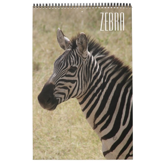 Calendario zebra africa (Tapa)