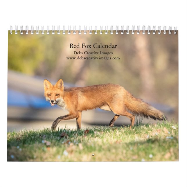 Calendario Zorros rojos - 2026 (Tapa)