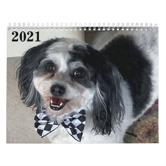 Calendario Zuchon Dog 2021 K-Cee II (Tapa)