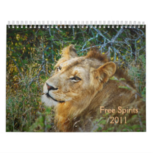 Calendarios 2011 - Espíritus libres