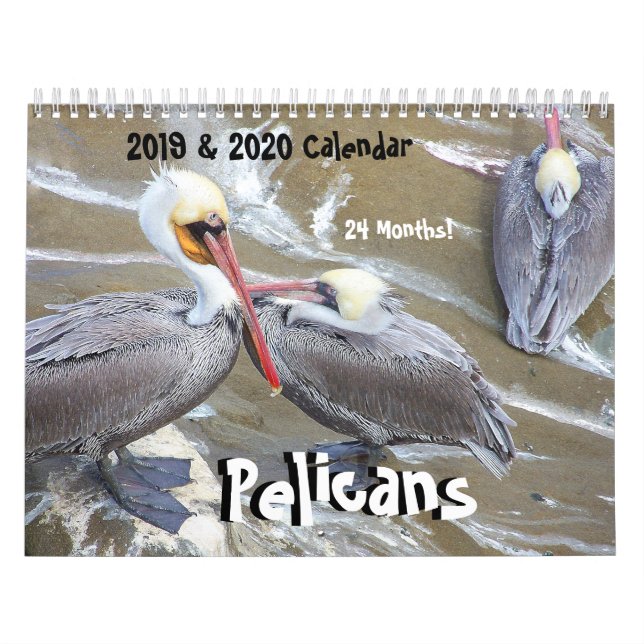 calendarios de 2019 2020 del pelícano del pájaro (Tapa)