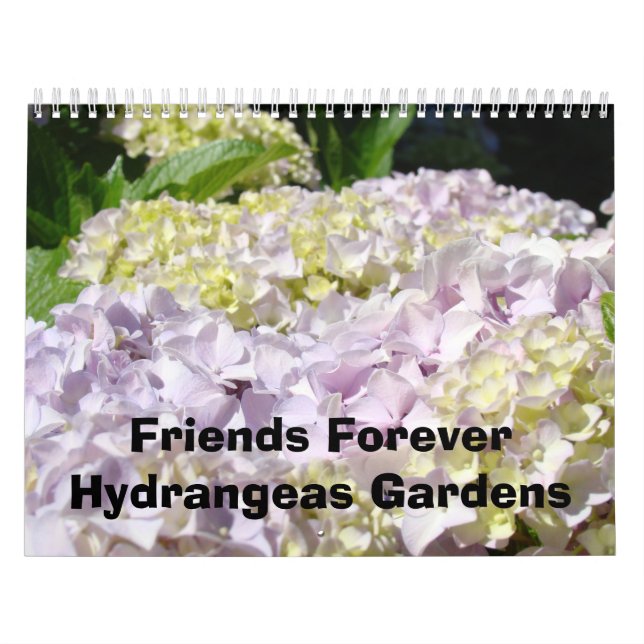 Calendarios de Amigos para siempre Hydrangea Garde (Tapa)