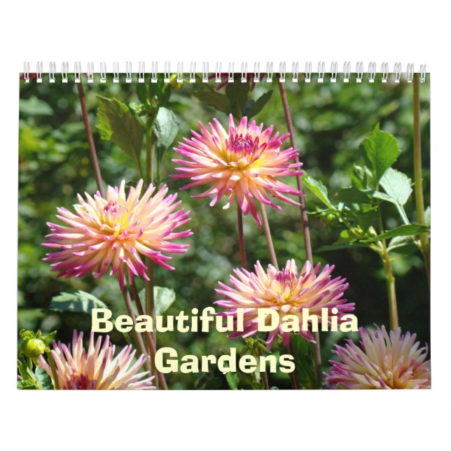 Calendarios de hermosos jardines de dalias fotos f (Tapa)