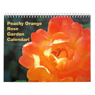 Calendarios de Jardín de Flores de Rosa Naranja Pê