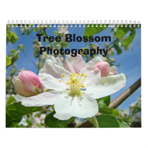 Calendarios Fotografía Árbol Floraciones Naturalez