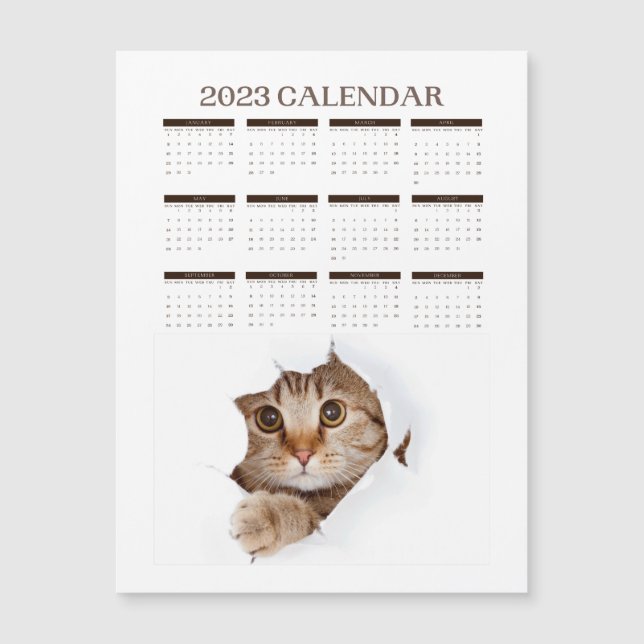 CALENDRIER 2023 MIGNON CHAT (Anverso)