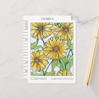 Calendula Materia Médica Tarjeta de Estudio Herbal