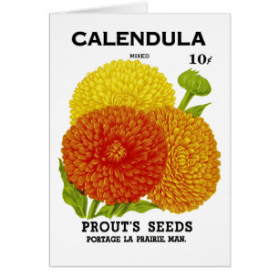 Calendula Vintage Seed Pack