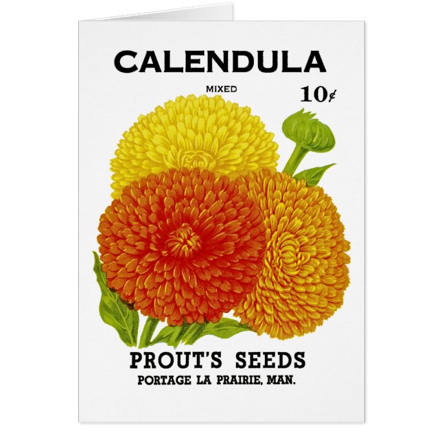 Calendula Vintage Seed Pack (Frente)
