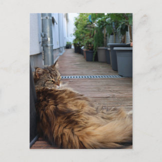 Calentamiento de viviendas o tarjeta recién trasla