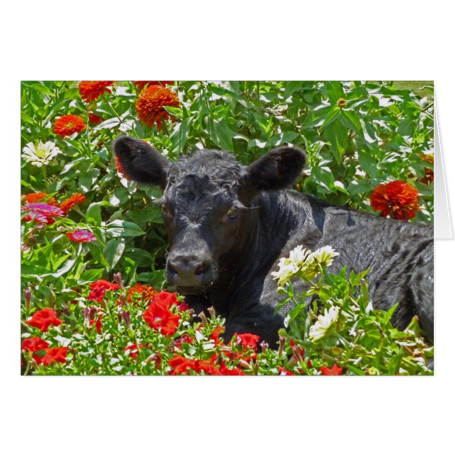 Calf bebé en las flores (Anverso (Horizontal))