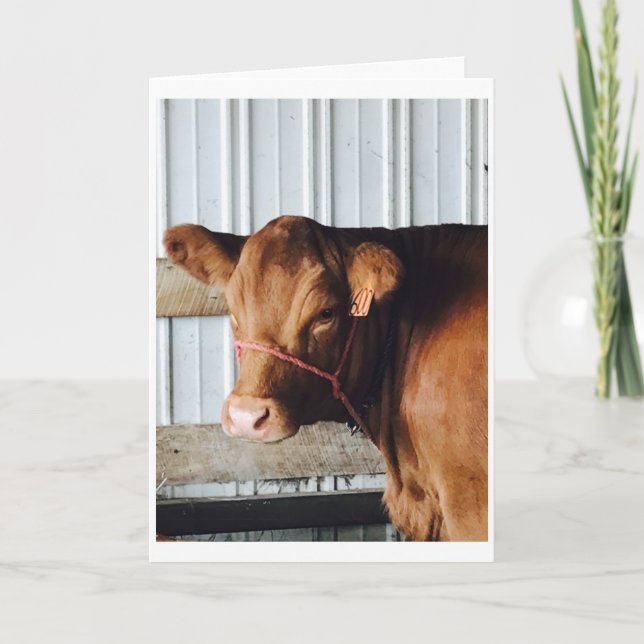 "Calf en la Feria" Tarjeta de felicitación por fot (Anverso)