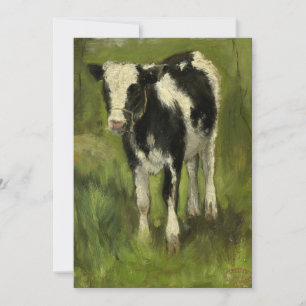 Calf, negro y blanco localizados Geo Poggenbeek