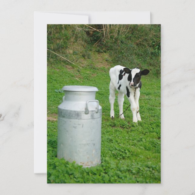 Calf y leche cruda (Anverso)