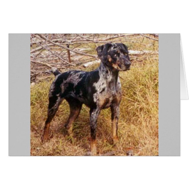 Cali (Anverso (Horizontal))