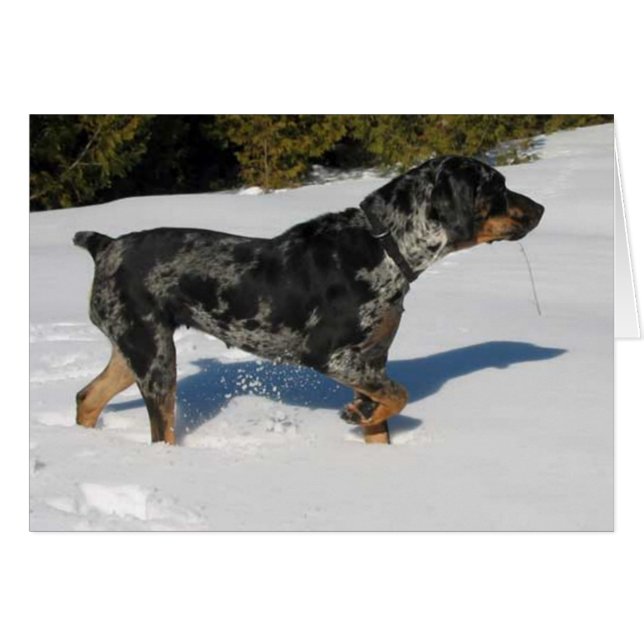 Cali (Anverso (Horizontal))