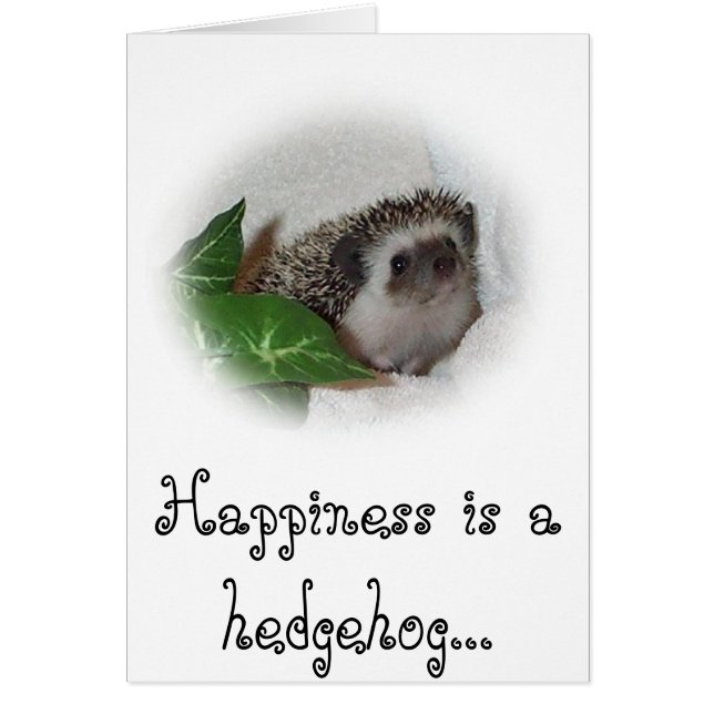 Calice el edgehog (Frente)