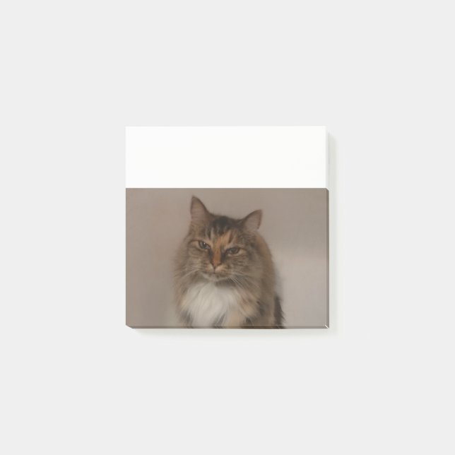 Calico Cat Post lo nota (Anverso)