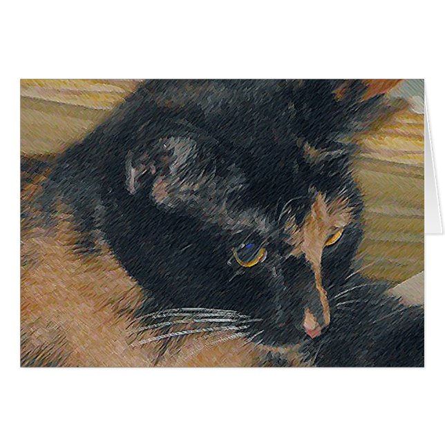 Calico Kitten Face (Anverso (Horizontal))